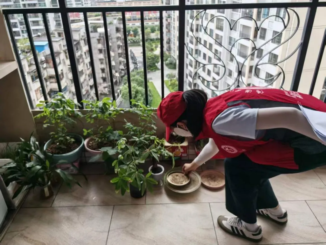 新會區紀委監(jiān)委：堅持既“督...